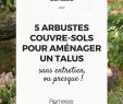 Bordure Jardin Truffaut Unique Les 538 Meilleures Images De Jardin Arbres Et Arbustes