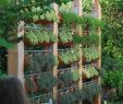 Bricolage Jardin Beau Schauen Sie Wie Viele Pflanzen In Sen Vertikalen Garten