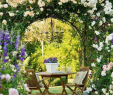 Bricolage Jardin Génial Saving Bud for Your Best Diy English Garden 10