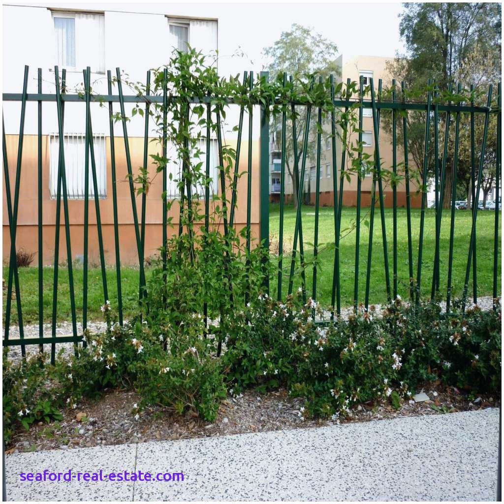 rideau brise vue impressionnant frais plante brise vue propos de cabane de jardin originale cloture of rideau brise vue