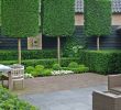 Brise Vue Jardin Beau 35 Smart and Stylish Garden Screening Ideas to to Transform