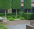 Brise Vue Jardin Beau 35 Smart and Stylish Garden Screening Ideas to to Transform