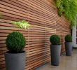 Brise Vue Jardin Inspirant écran Et Cl´ture Aérée – Mur   Lames En Bois