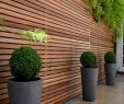 Brise Vue Jardin Inspirant écran Et Cl´ture Aérée – Mur   Lames En Bois