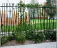 Brise Vue Jardin Nouveau Rideau Brise Vue source D Inspiration Meilleur Rideau