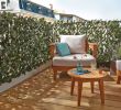 Brise Vue Jardin Unique Treillis Jardin Et Canisse Brise Vue Déco