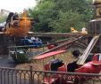 Brunch Jardin D Acclimatation Luxe Super Red Baron Jardin D Acclimatation Paris Technical Park