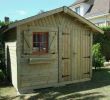 Cabane De Jardin En Palette Élégant Abri Jardin Bois Brico Depot with Images