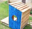 Cabane De Jardin En Palette Luxe Tuto Construisez Une Adorable Niche Pour Chien En Palettes