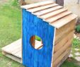 Cabane De Jardin En Palette Luxe Tuto Construisez Une Adorable Niche Pour Chien En Palettes