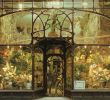 Cafard De Jardin Inspirant Paul Hankar 19th Century Flower Shop In Brussels