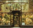 Cafard De Jardin Inspirant Paul Hankar 19th Century Flower Shop In Brussels