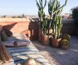 Cap Jardin Nouveau El Fenn Hotel Marrakech Elfennmarrakech • Instagram