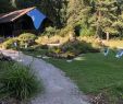 Chapiteau Jardin Génial Jardin Botanique Alpin De Meyrin 2020 All You Need to Know