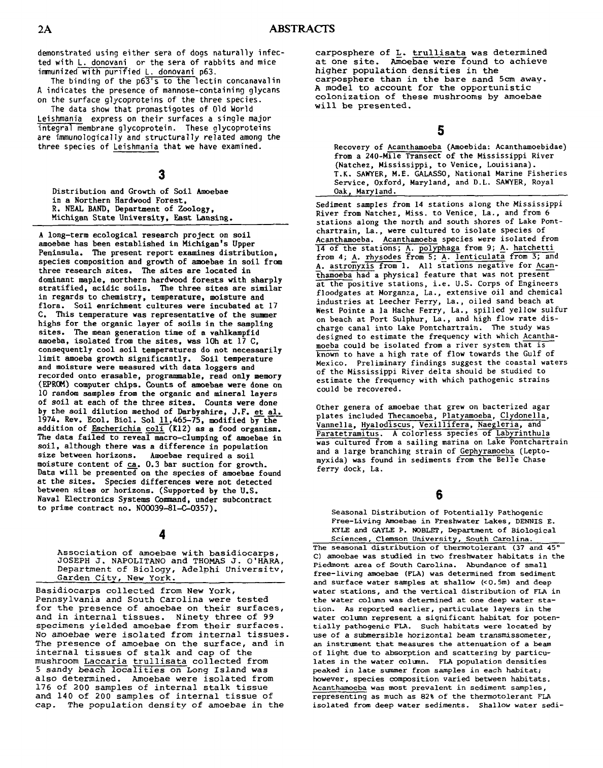 bg2