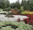 Cherche Personne Pour Travaux Jardin Charmant Le Fantastique Jardin Scullion