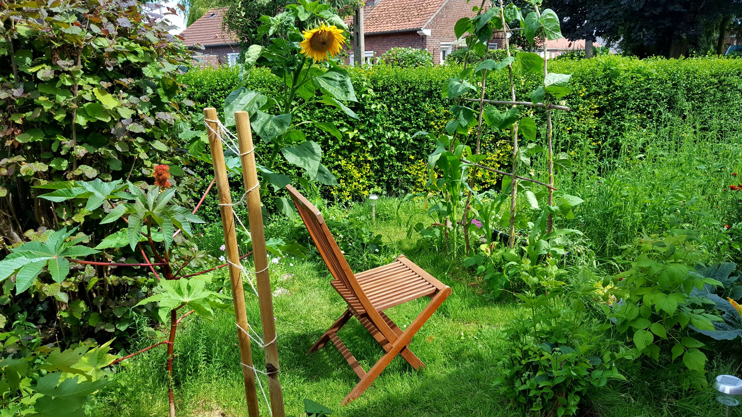 Jardin en permaculture