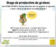 Cherche Personne Pour Travaux Jardin Inspirant 500 500