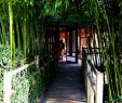 Cité Jardin toulouse Beau Jardin Japonais toulouse 2020 All You Need to Know
