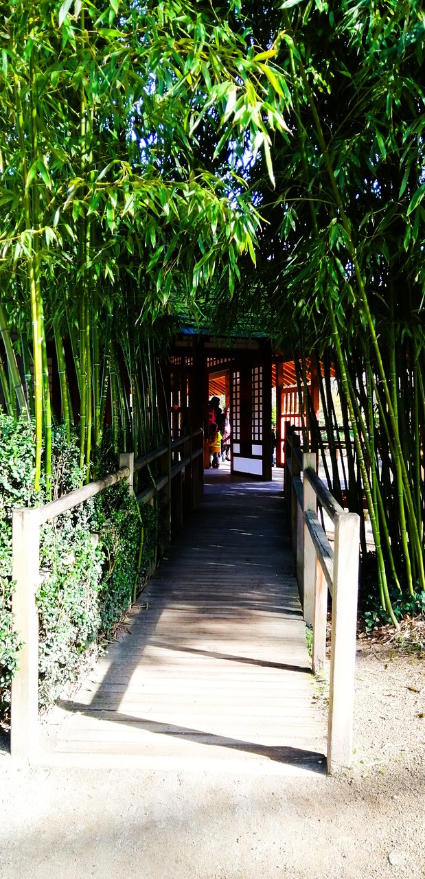 a entrada para o pavilhao