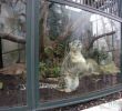 Collège Jardin Des Plantes Poitiers Élégant 著名的巴黎植物园 Jardin Des Plantes Garden Of Plantes 位于法国