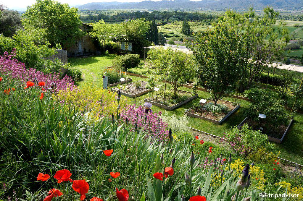 Collège Jardin Des Plantes Poitiers Nouveau Jardin Des Plantes Tinctoriales