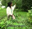 Commencer Un Jardin En Permaculture Beau Concevoir son Jardin Et Sa Vie Avec La Permaculture sous Titres Fran§ais