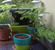 Commencer Un Jardin En Permaculture Beau Mini Cel Minicel