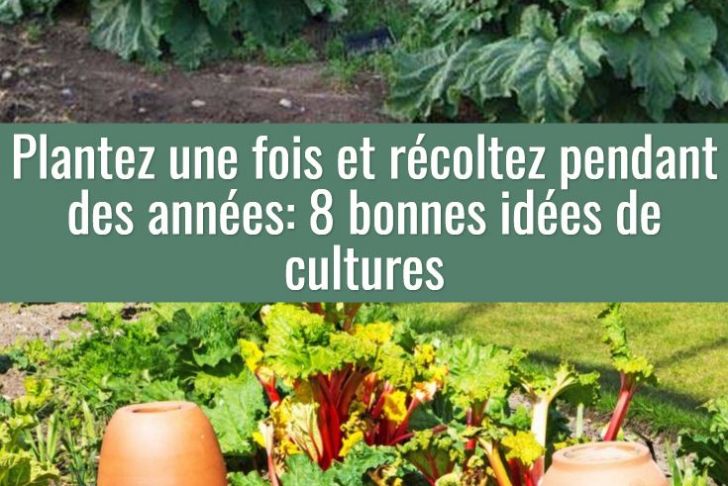 Commencer Un Jardin En Permaculture Best Of épinglé Par Gravouil Sur Jardinage