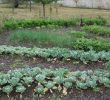 Commencer Un Jardin En Permaculture Best Of Le Potager Bioinspiré Un Jardin Nourricier En Permaculture