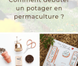 Commencer Un Jardin En Permaculture Best Of Ment Débuter Un Potager En Permaculture Sur Balcon Ou