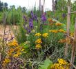 Commencer Un Jardin En Permaculture Best Of son Jardin En Permaculture – Ville En Vert