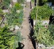Commencer Un Jardin En Permaculture Charmant Le Potager En Carrés En Permaculture Mon Potager En Carrés