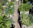 Commencer Un Jardin En Permaculture Charmant Le Potager En Carrés En Permaculture Mon Potager En Carrés