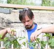 Commencer Un Jardin En Permaculture Charmant Loire