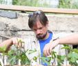 Commencer Un Jardin En Permaculture Charmant Loire