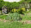 Commencer Un Jardin En Permaculture Charmant Ma Vie Sans Supermarché