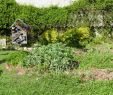 Commencer Un Jardin En Permaculture Charmant Ma Vie Sans Supermarché