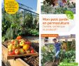 Commencer Un Jardin En Permaculture Charmant Mon Petit Jardin En Permaculture