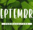 Commencer Un Jardin En Permaculture Charmant Que Faire Dans son Jardin Permaculture En Septembre Permaculture