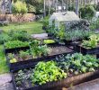 Commencer Un Jardin En Permaculture Élégant 1 483 Likes 20 Ments Mari Hotti Gardener Marihotti