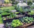 Commencer Un Jardin En Permaculture Élégant 1 483 Likes 20 Ments Mari Hotti Gardener Marihotti