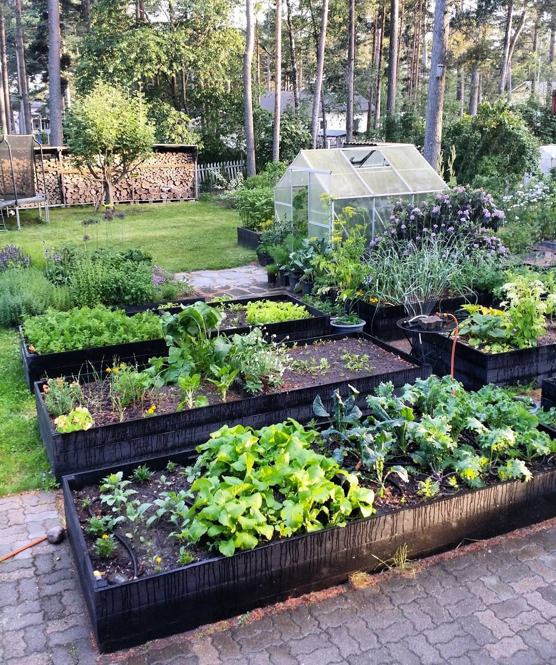 Commencer Un Jardin En Permaculture Élégant 1 483 Likes 20 Ments Mari Hotti Gardener Marihotti