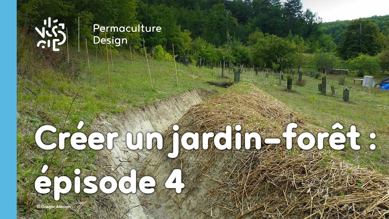 projet jardin foret estible plantation munaute canicule secheresse arrosage ep 04 formation permaculture design 01