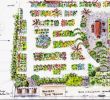 Commencer Un Jardin En Permaculture Élégant Permaculture