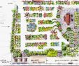 Commencer Un Jardin En Permaculture Élégant Permaculture