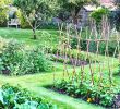 Commencer Un Jardin En Permaculture Élégant Permaculture Potager Ment Faire Un Potager En