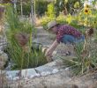 Commencer Un Jardin En Permaculture Frais Permaculture Jardiner En Ville C Est Possible France 3