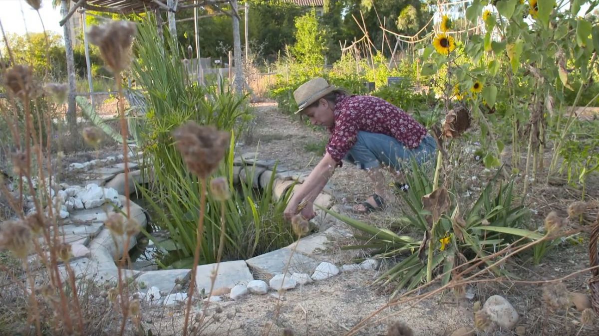 Commencer Un Jardin En Permaculture Frais Permaculture Jardiner En Ville C Est Possible France 3