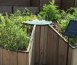 Commencer Un Jardin En Permaculture Frais Qu Est Ce Qu Un Jardin En Trou De Serrure